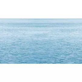 Dec Regata 5 Декор КВС16Regata5 25х45