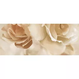 Dec Rosario Panno B 20х50