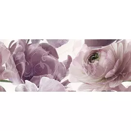 Dec Stella Panno B 20х50