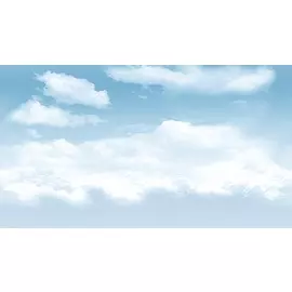 Dec Tropic 2 Декор КВС16Tropic2 25х45