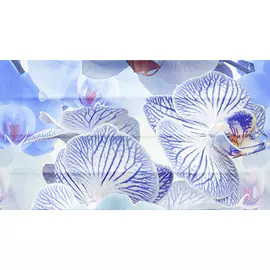 Dec Vanda Panno A КПН16VandaA 25х45