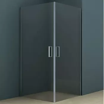 Душевой уголок Riho Novik Z209 100x100 см GZ2100100