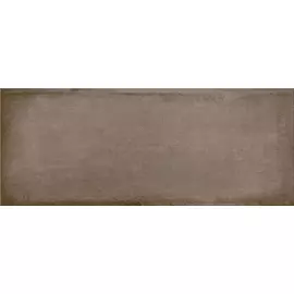 Eclipse Плитка настенная Grey 20,1х50,5