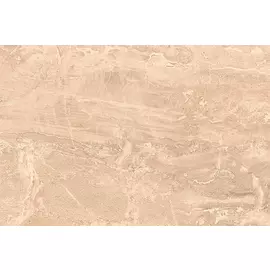 Eilat облицовочная плитка коричневая (EJN111D) 30x45