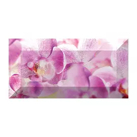 Impression Бордюр рельефный br1020D190-1 20х10