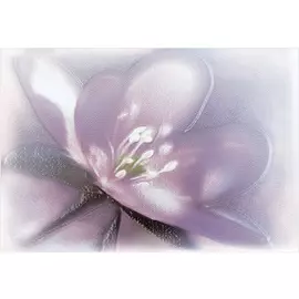 Лила Декор ВС7ЛЛ023 / DWU07LIL023 36,4х24,9