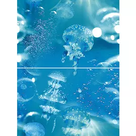 Medusa P2D236 Панно из 2-х плиток 30х40