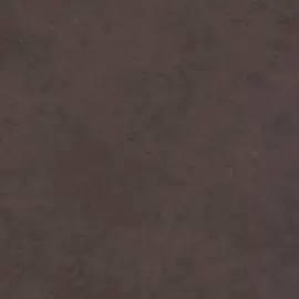 MI 04 60х60 неполир