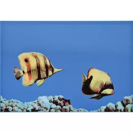 MONO FISH 3 Декор 27,5х40