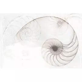 Nautilus панно ракушка многоцветный (NT2F453DT) 40x60