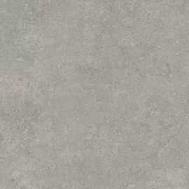 Newcon Керамогранит Серебристо-серый K945785R0001VTE0 60х60
