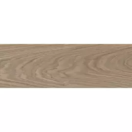 Omodeo Керамогранит коричневый 6064-0486 20х60