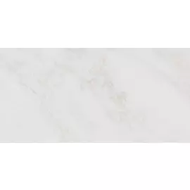 Парнас Керамогранит светлый обрезной SG810000R 40х80 (Малино)