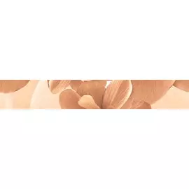 Pastel Бордюр B300-3D124 30х4,5