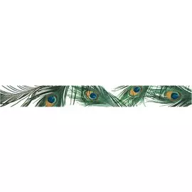 Павлин Бордюр STG\A80\11000T 60х7,2