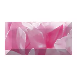 Peony Бордюр рельефный br1020D281-1 20х10