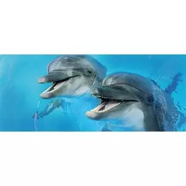 Porto Dolphins 2 centro Декор 25x60
