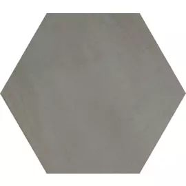 Раваль серый SG27002N 29х33,4