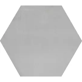 Раваль серый светлый SG27001N 29х33,4