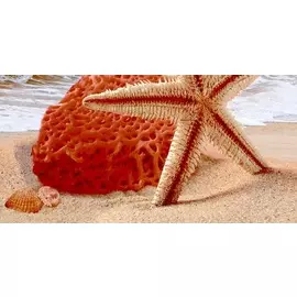 Ривьера Декор 08-10-23-252 40х20