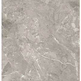 Romano Grey Керамогранит серый 60x60 полированный