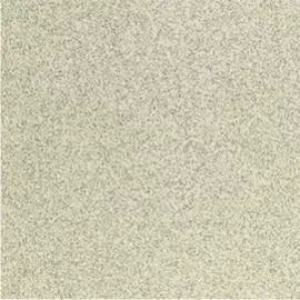 ST05 30х30 неполир