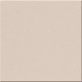 ST17 60х60 неполир 43,2кв.м