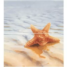 Starfish 1 (панно из 2-х шт) 50х45