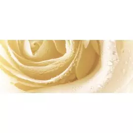 Syntia Rose 3 Декор 20х50