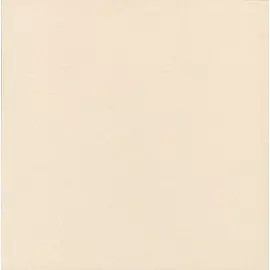 Техногрес профи 300х300 ступень бежевый