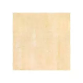 Travertino Бежевый G-420/PR (G-420/P) 60x60 полированный