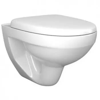 Унитаз подвесной Roca Mateo 346200000