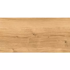 Woodhouse глаз. керамогранит коричневый (C-WS4O112D) 29,7х59,8