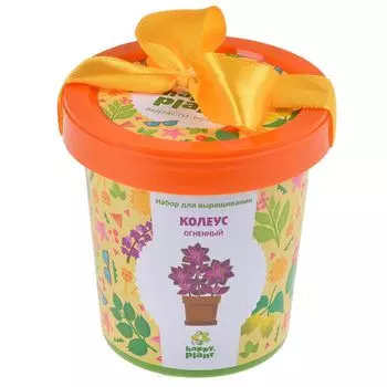 Набор для выращивания: Колеус огненный