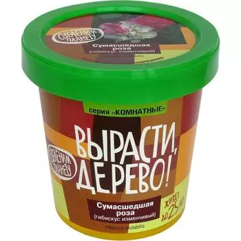 Набор Вырасти дерево