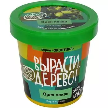 Набор Вырасти дерево