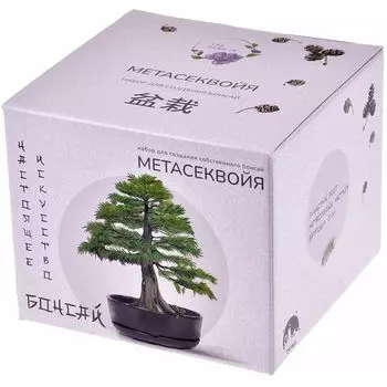 Набор Вырасти дерево