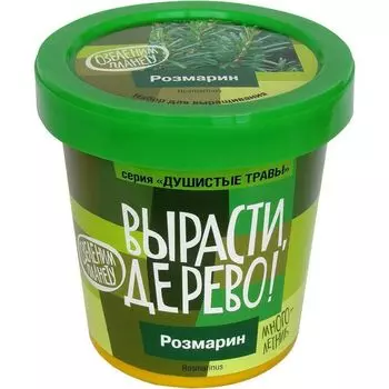 Набор Вырасти дерево