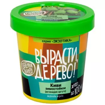 Набор Вырасти дерево