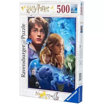 Пазл "Гарри Поттер в Хогвартсе"