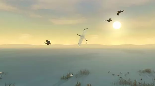 Storm Boy (для PC/Steam)