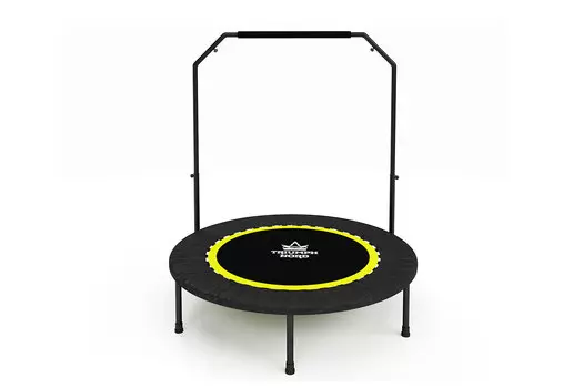 Батут с ручкой Триумфальный