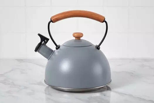 Чайник со свистком 2,5 л Sahara Acacia