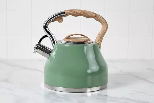 Чайник со свистком 2,7 л WR-9205