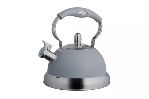 Чайник со свистком Living