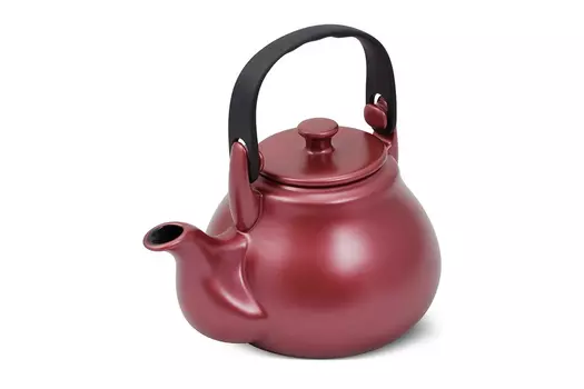 Чайник Terrine