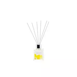 Диффузор 100 мл BGH0