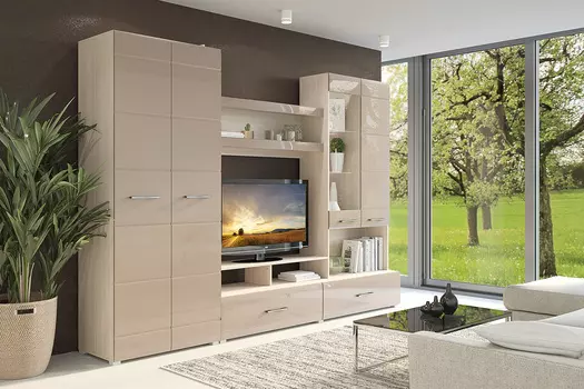 Гостиная Нэнси-1