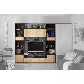 Гостиный гарнитур Полина