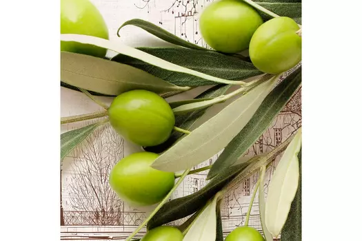 Интерьерная панель MGF66